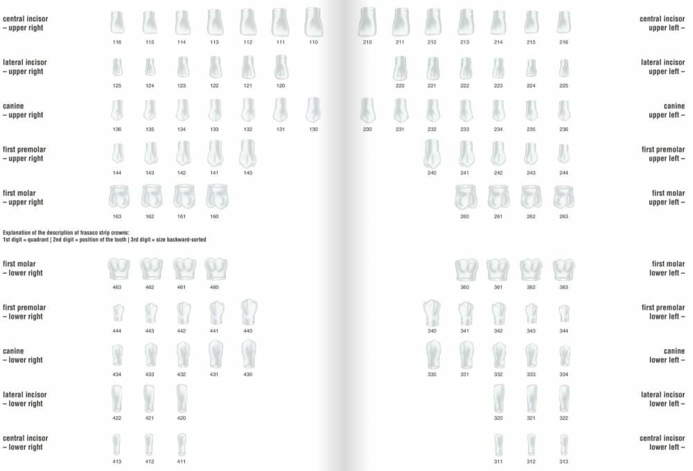 Kronform Frasaco anterior sortiment 1 x 174 st — SE1